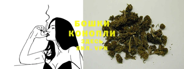 индика Семикаракорск
