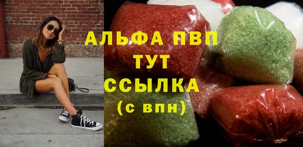 индика Семикаракорск