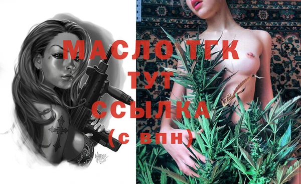 индика Семикаракорск