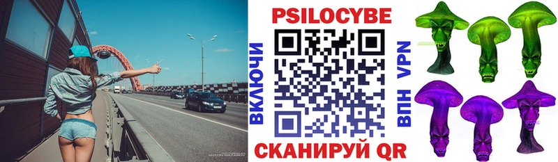 как найти   Ельня  сайты даркнета формула  Псилоцибиновые грибы Psilocybine cubensis 