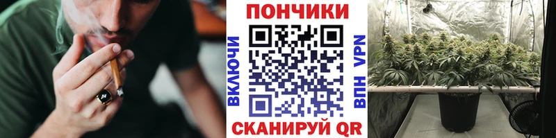 где купить наркоту  Ельня  Шишки марихуана план 
